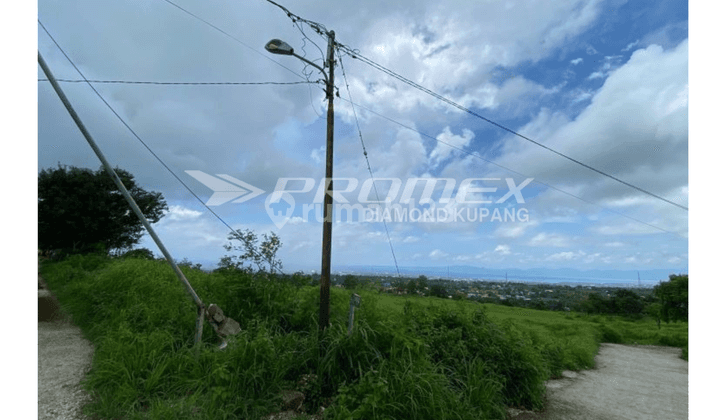  Dijual Tanah Luas di Bello, Kota Kupang Ntt 1