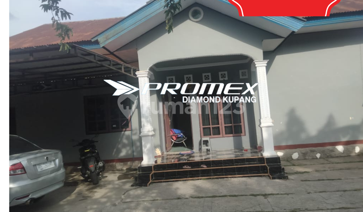 DIJUAL RUMAH CANTIK AREA JALAN BAJAWA KUPANG 1