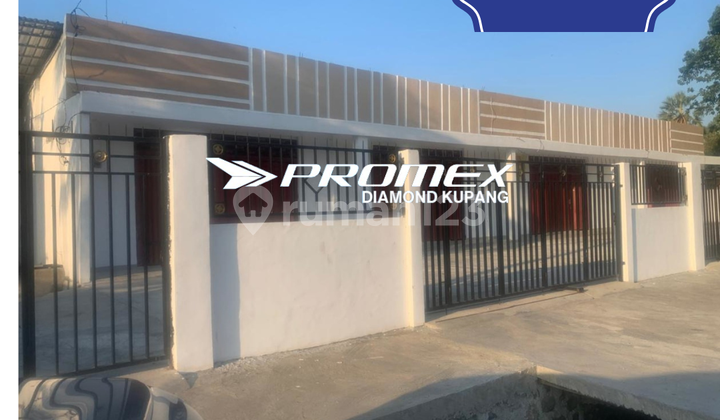 FOR RENT: 1-STORY SHOP HOUSE IN MAUMERE, NTT AREA 1