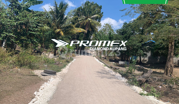 DIJUAL TANAH LOKASI KOLHUA KUPANG DIJUAL TANAH LOKASI KOLHUA KUPANG