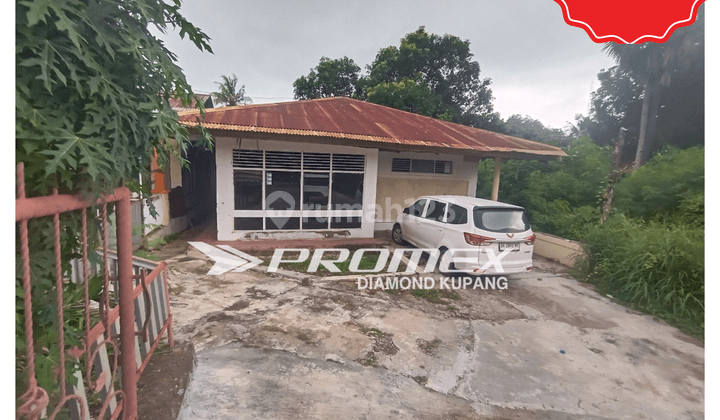 DI SEWAKAN RUMAH AREA KUANINO KOTA KUPANG 1