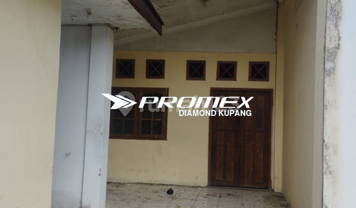 FOR RENT: HOUSE BY THE MAIN ROAD, TIMOR RAYA, KUPANG FOR RENT: HOUSE BY THE MAIN ROAD, TIMOR RAYA, KUPANG