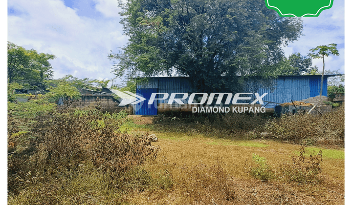 DIJUAL TANAH & GUDANG AREA NAIONI KOTA KUPANG 1