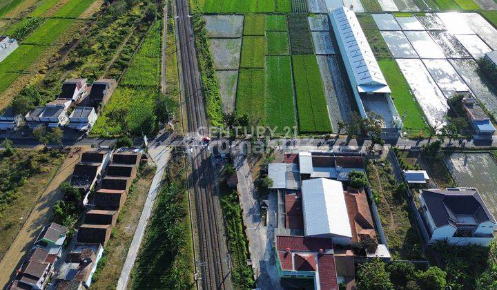 Investasi Jangka Panjang Tanah Sawah Potensial 2