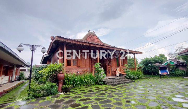 Villa Joglo Jawa Dengan Kolam Renang View Gunung Merapi Siap Huni di Pakem 1