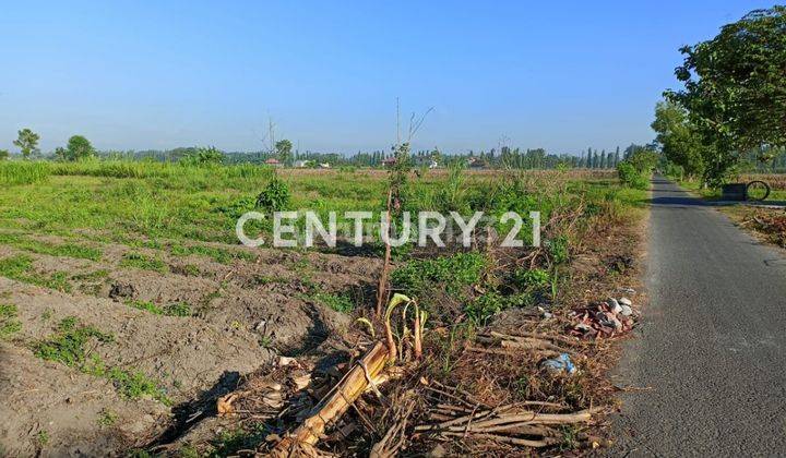 Tanah Dekat Lokasi Wisata Religius Candi Ganjuran 2