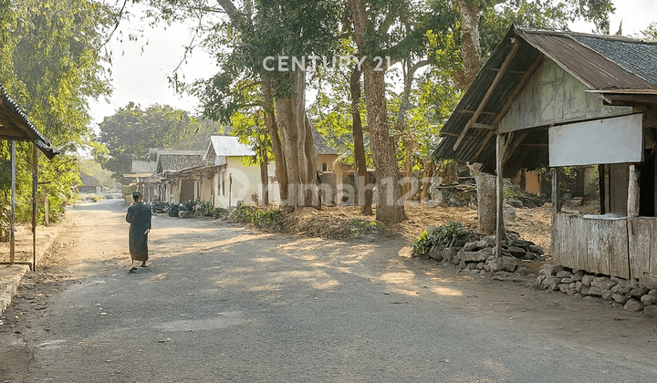 Lepaskan Diri Dari Keramaian Kota Cocok Tempat Retreat Lt 1358 M