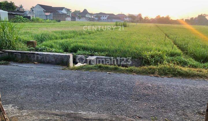 Tanah Di Blkg Kantor Pengadilan Negri Bantul Cck Utk Usaha Kost 2