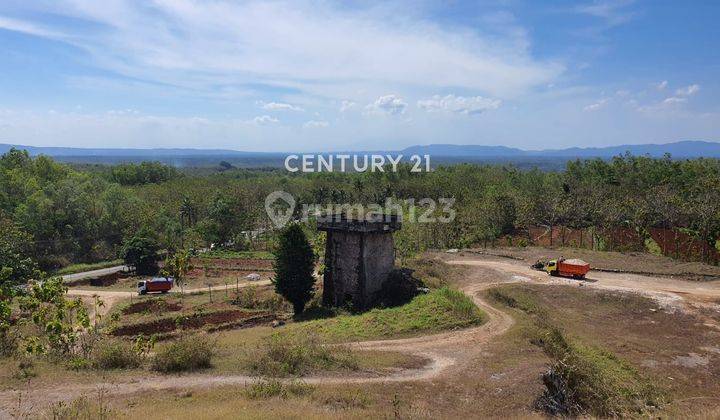 Tanah 1.5 Ha Tepi Jalan Baron Gunung Kidul, Bisa Utk Flpp 2