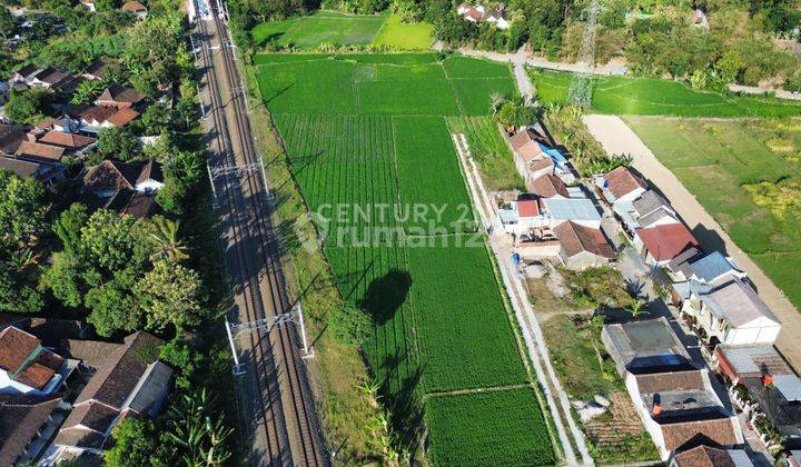 Investasi Jangka Panjang Tanah Sawah Potensial 1