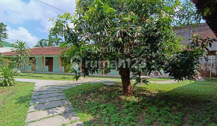 Tanah Utara Perempatan Kentungan Depan Superindo Jakal Tanah Utara Perempatan Kentungan Depan Superindo Jakal