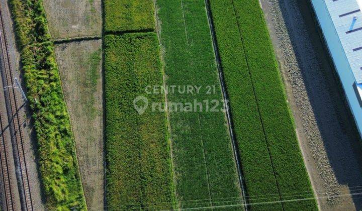 Investasi Jangka Panjang Tanah Sawah Potensial 2