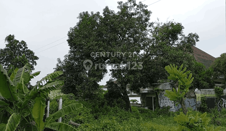 Tanah Pekarangan Luas 319 M2 Di Jl Ringroad Utara Maguwoharjo 1