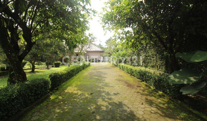 Rumah Villa Dengan Kolam Renang Di Jogja Bagian Utara Lokasi Asri 2