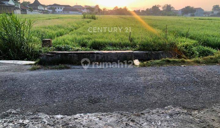 Tanah Di Blkg Kantor Pengadilan Negri Bantul Cck Utk Usaha Kost 1