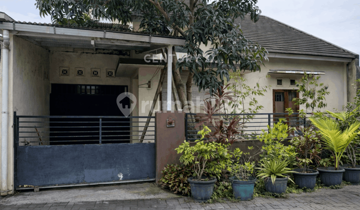 Rumah di Berbah dengan Lantai Granit dan View Sawah Rumah di Berbah dengan Lantai Granit dan View Sawah