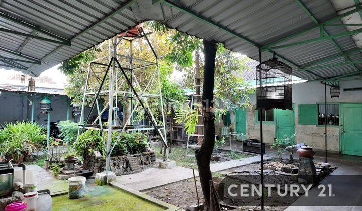 Rumah Luas Di Sumberrejo Cocok Untuk Keluarga Besar 2