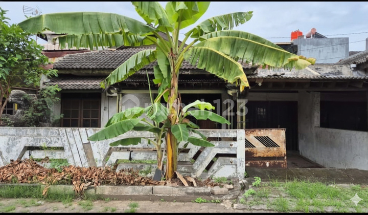 Rumah Hitung Tanah Daerah Semarang Indah - 11195 1