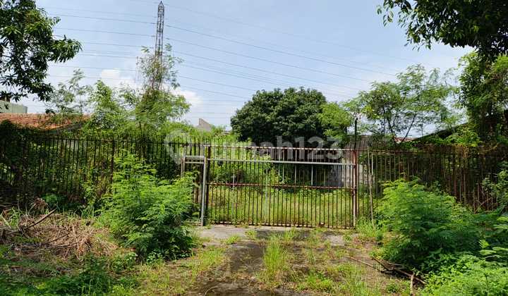 Sewa Tanah Strategis Daerah Gayamsari Semarang Timur - 11165 2