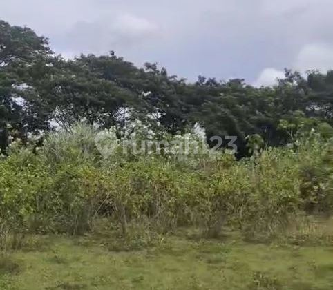 Gudang KIC Gatot Subroto Semarang Barat – 10381 1