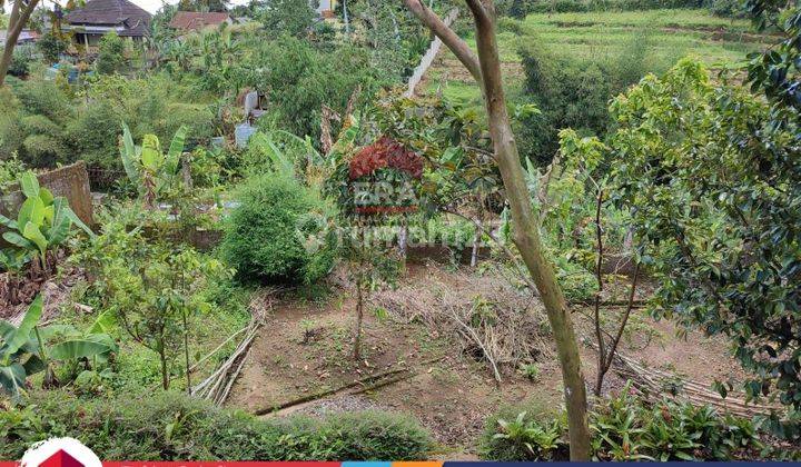 Rumah Sejuk Di Tamansari Bogor Jawa Barat 2