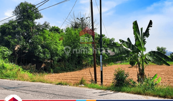 Tanah Murah Bebas Banjir Lokasi Startegis Di Babelan 2