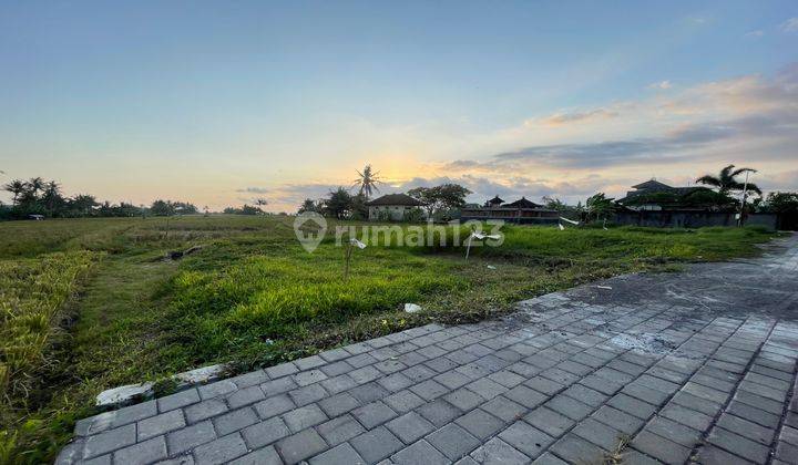 Tanah View Sawah Cocok Buat Villa Dan Investasi 2