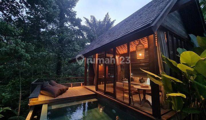 Villa Unik View hutan Tropis Bintang 4 Area Ubud  1