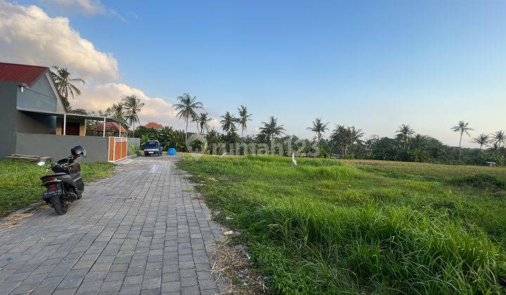 Tanah View Sawah Cocok Buat Villa Dan Investasi