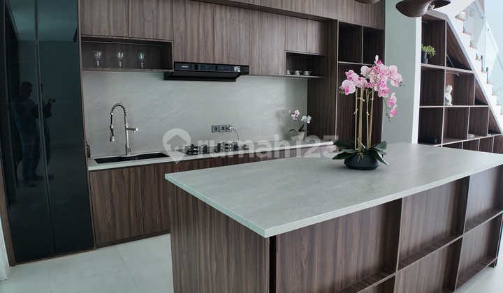 Rumah Mewah Luas Dan Sangat Strategis Area Denpasar 2