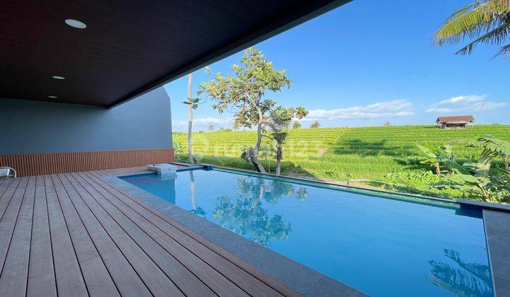 Villa View Ricefield In Canggu Best Atmosphere & Best Investment