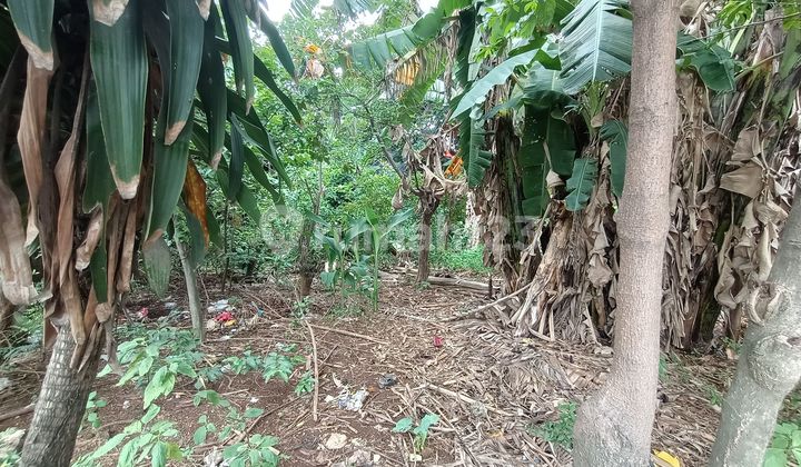 Lahan Cocok Untuk Gudang Kecil Atau Home Industri  2