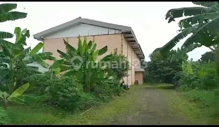 Cheap sale of land plus warehouse below NJOP price in Jagakarsa Cheap sale of land plus warehouse below NJOP price in Jagakarsa