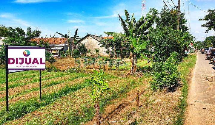 Tanah Di Pinggir Jalan Raya Lokasi Babelan Cocok Untuk Pergudangan Maupun Bikin Cluster 2
