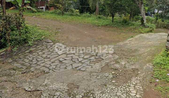 Dijual Murah lahan kebun pinggir jalan utama di kampung Pawenang Dijual Murah lahan kebun pinggir jalan utama di kampung Pawenang