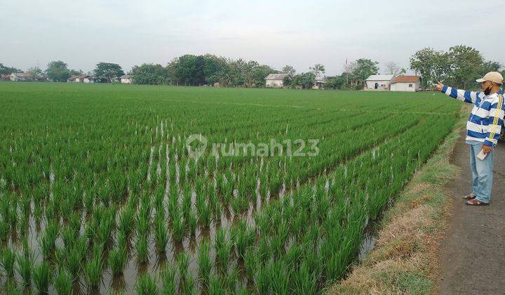 Dijual Tanah Perumahan Di Bekasi