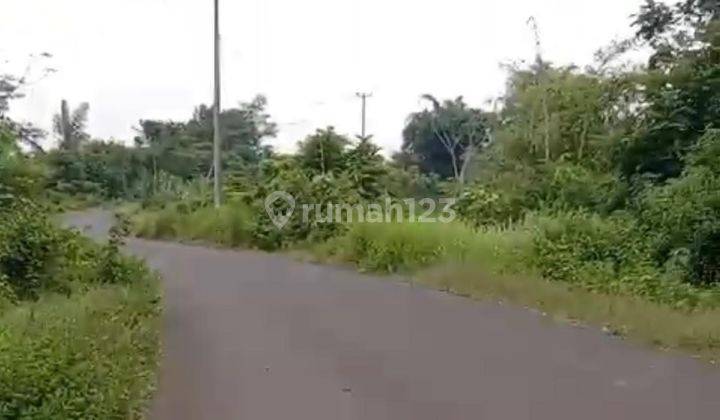 DIJUAL TANAH PETERNAKAN DI LEBAK BANTEN  1