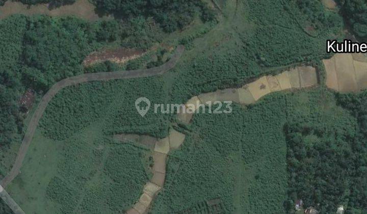 DIJUAL TANAH PETERNAKAN DI LEBAK BANTEN  1