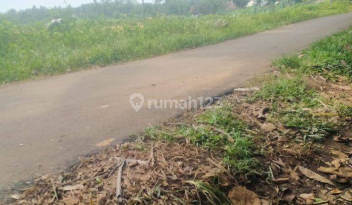 DIJUAL TANAH PETERNAKAN DI LEBAK BANTEN  2