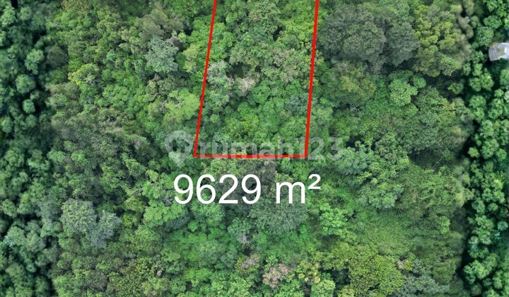 Dijual Tanah Luas Cocok untuk Villa, dan Cottage di Sentul, Bogor Dijual Tanah Luas Cocok untuk Villa, dan Cottage di Sentul, Bogor