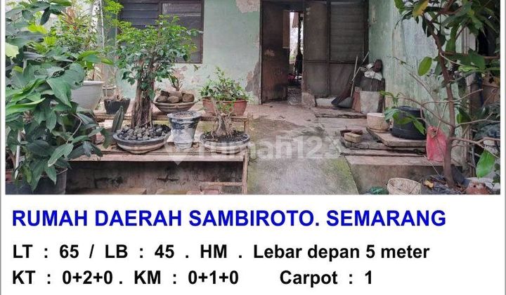 Rumh Murah Sambiroto Tembalang Semarang  1