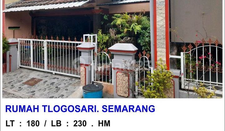 Rumah 2lantai Kembang Jeruk Tlogosari Semarang Timur 1