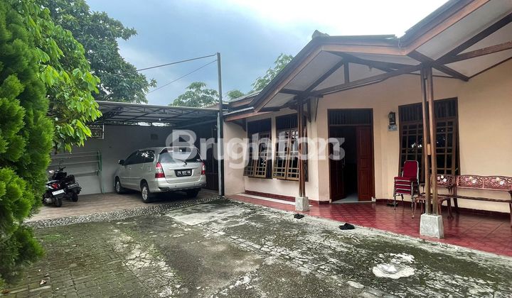 COMFORTABLE AND LUSH RESIDENCE 2