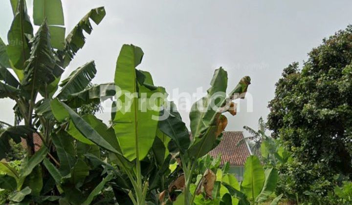 LAND WITH A STRATEGIC LOCATION