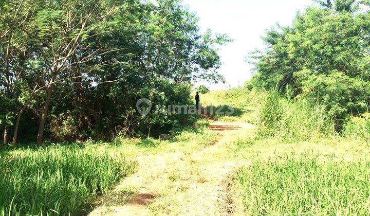 Tanah Darat dan Sawah SHM 8,3 ha Pinggir Jalan Raya 2 Jalur Cikampek  2