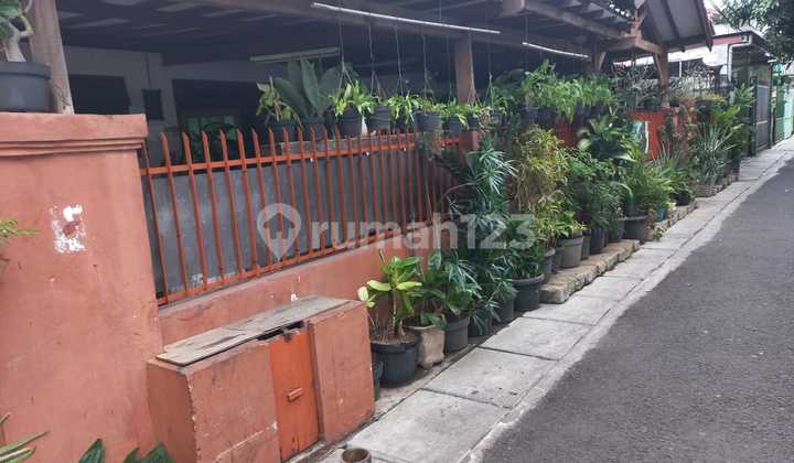 Habitable House with SHM Certificate, Kalibaru Bungur, Senen, Central Jakarta Habitable House with SHM Certificate, Kalibaru Bungur, Senen, Central Jakarta