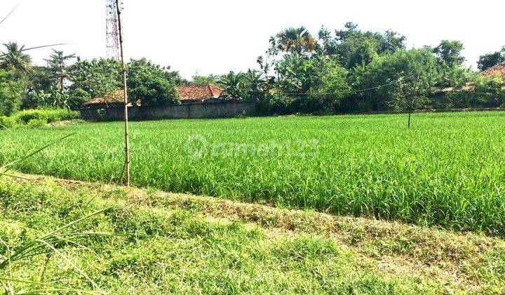 Tanah Darat dan Sawah SHM 8,3 ha Pinggir Jalan Raya 2 Jalur Cikampek  1