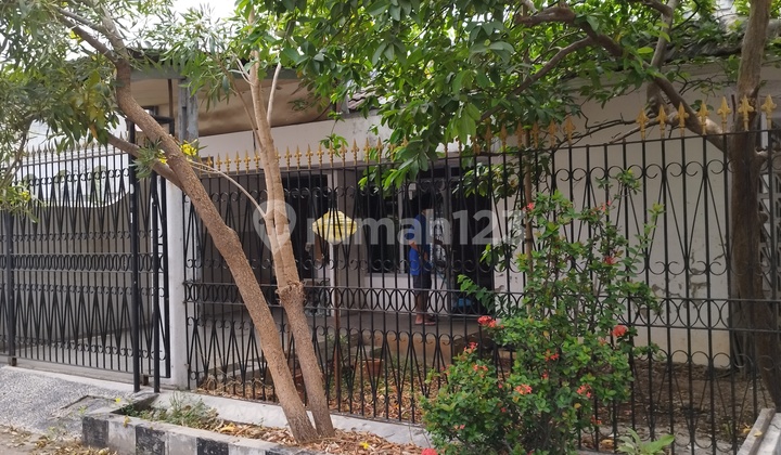 Rumah Tua SHM Sunter Mas Lokasi Tenang cocok utk Rumah Tinggal Rumah Tua SHM Sunter Mas Lokasi Tenang cocok utk Rumah Tinggal