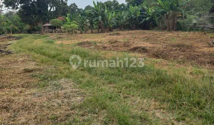 SHM Land Plot in Gunung Sindur, total area 8400m2. SHM Land Plot in Gunung Sindur, total area 8400m2.