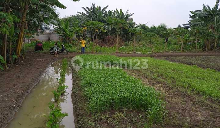 BU Jual Murah.. Lahan 1,7ha Siap Bangun di Cimone.  300m dari jalan Gatot Subroto Kota Tangerang 1